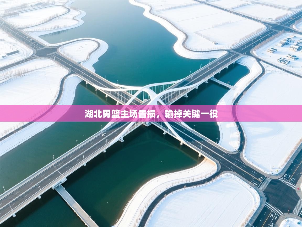 湖北男篮主场告损,输掉关键一役 第2张