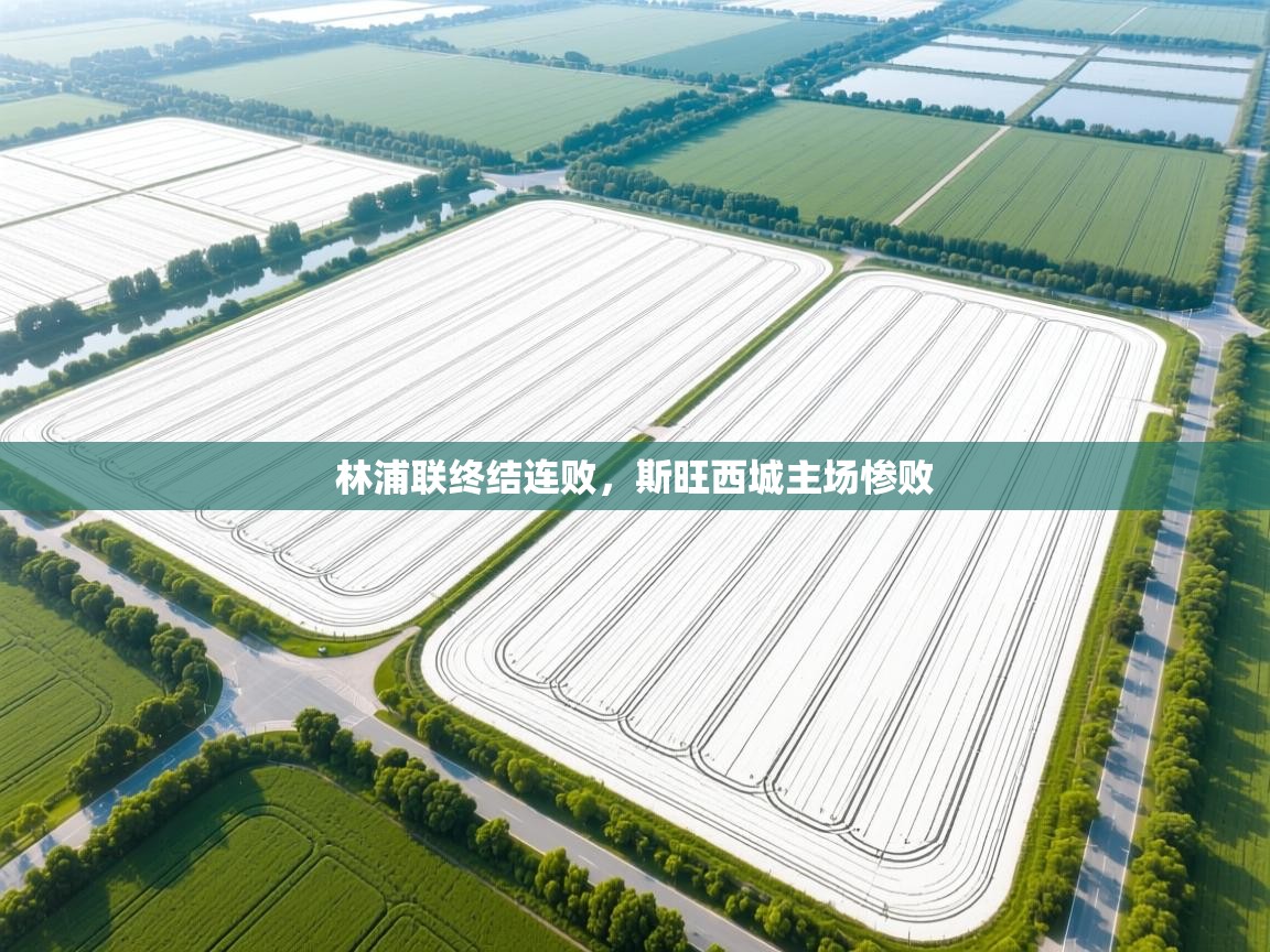 林浦联终结连败,斯旺西城主场惨败 第1张