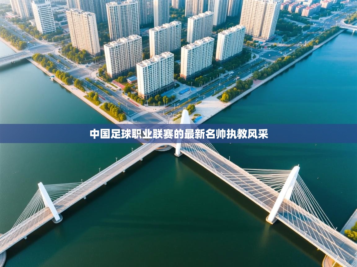 中国足球职业联赛的最新名帅执教风采  第2张