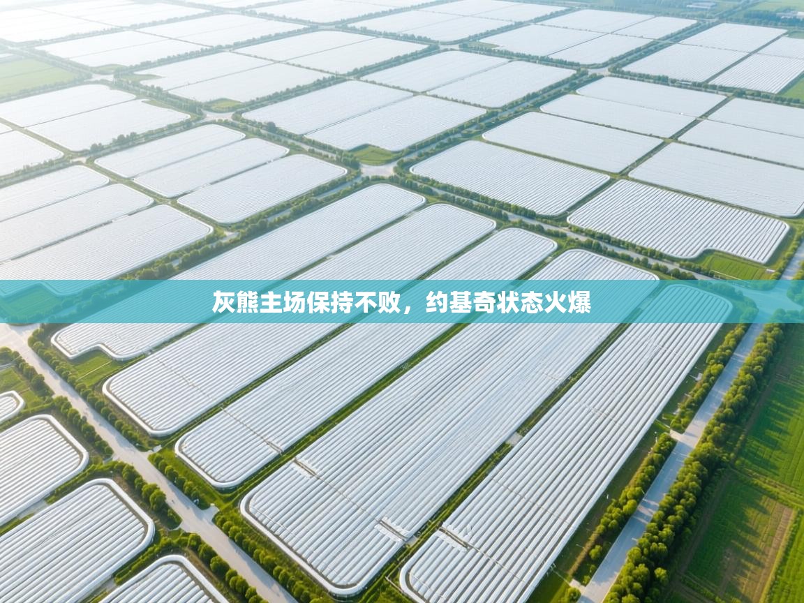 灰熊主场保持不败，约基奇状态火爆  第2张