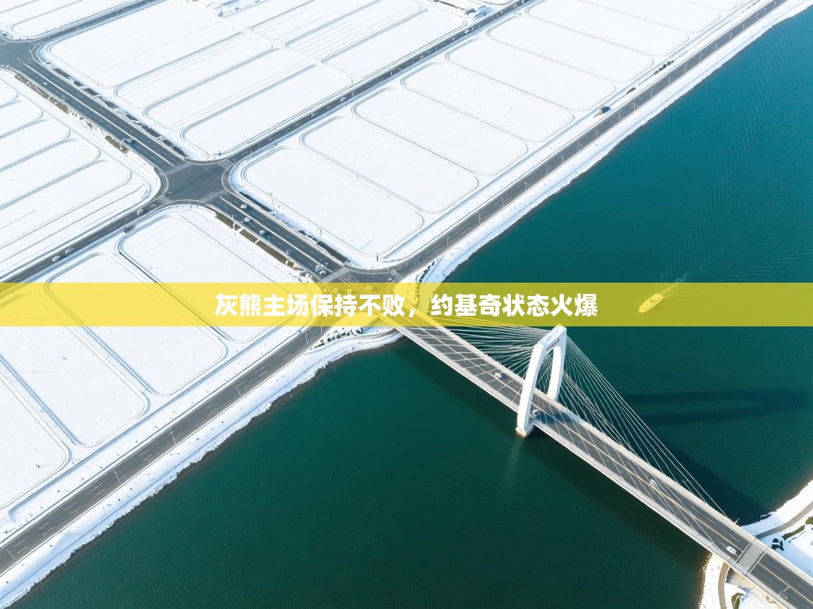 灰熊主场保持不败，约基奇状态火爆  第1张